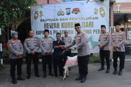 Polres Pelabuhan Tanjung Perak Salurkan Hewan Kurban di Hari Raya Iduladha 1447 H.