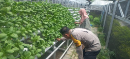 Bhabinkamtibmas Laksanakan Pembinaan Program Ketahanan Pangan Hidroponik di Taman Petekkan Riverside