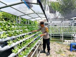 Bhabinkamtibmas Dampingi Pembinaan Ketahanan Pangan Hidroponik di Taman Petekkan Riverside