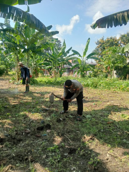 Panit Binmas Polsek Kenjeran Laksanakan Asistensi Ketahanan Pangan Bersama Kelompok Tani Nandhur Makmur