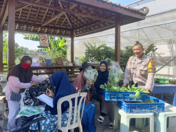 Bhabinkamtibmas Perak Barat Monitoring Ketahanan Pangan dan Panen Hidroponik di KWT Dorang Cinta.